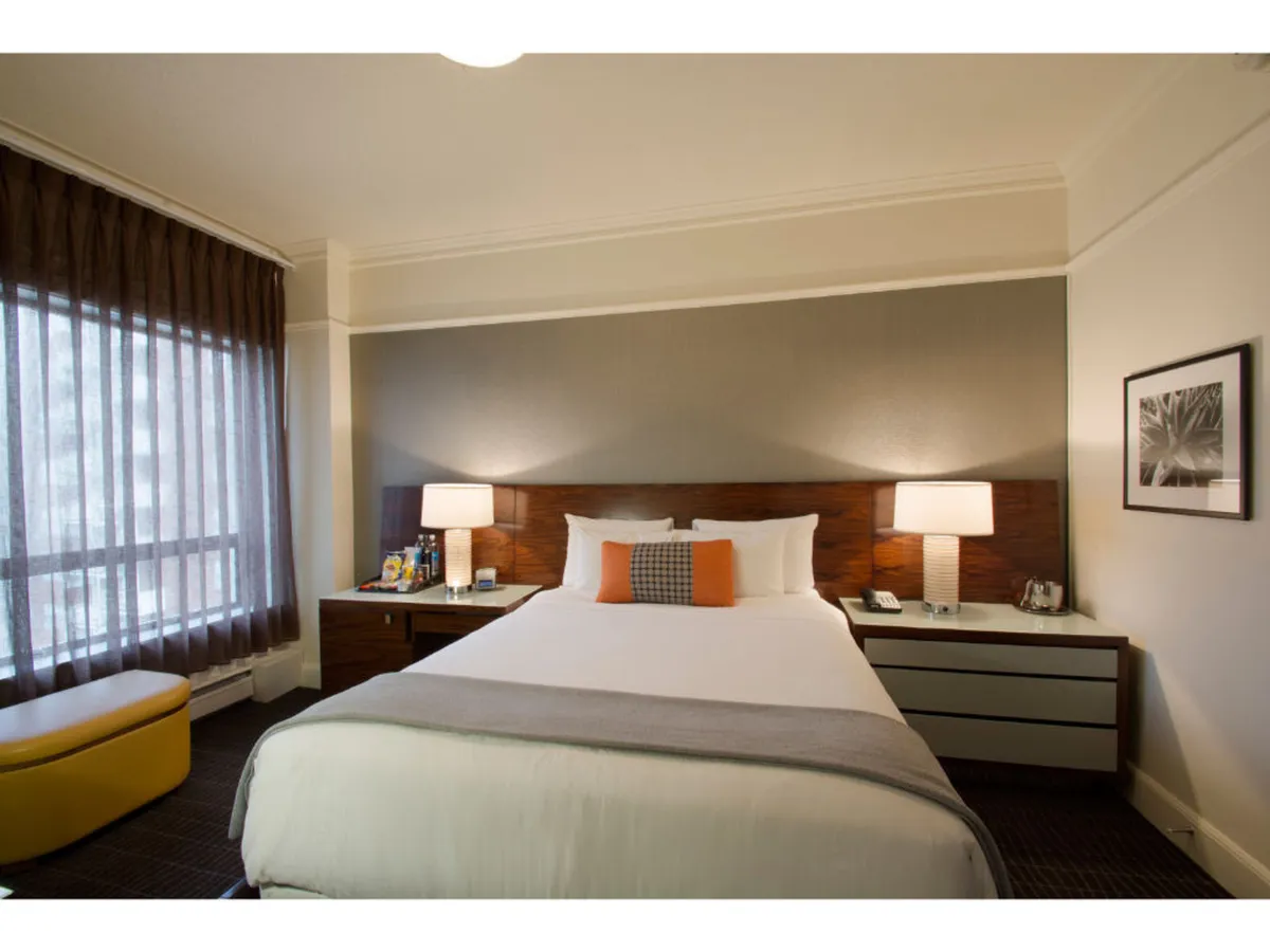 This image showcases a guest room with a cozy bed dressed in decorative pillows, flanked by nightstands topped with lamps. Natural light pours in through a large window with sheer curtains, creating a serene and inviting atmosphere ideal for both relaxing with a pet and starting the day refreshed.